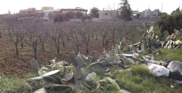 Immobile in asta di 3154 m² in vendita a Putignano - Foto 4