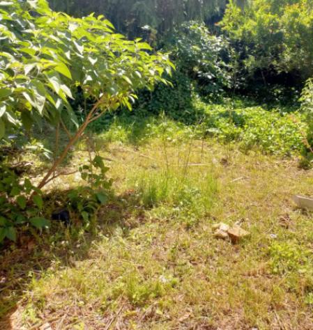 Immobile in asta di 149 m², box auto in vendita a Suardi - Foto 7