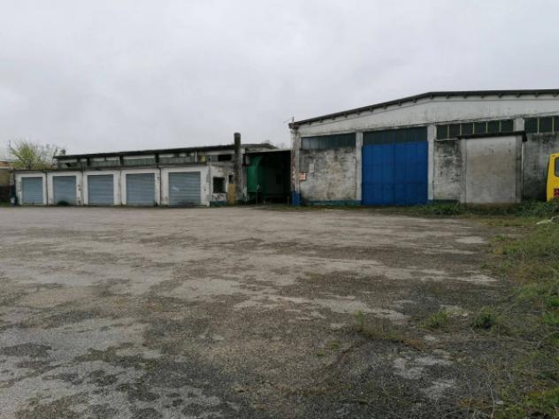 Immobile in asta di 2714 m² in vendita a Castelmassa - Foto 17