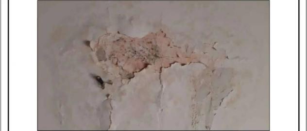 Immobile in asta di 118 m² con più di 5 locali in vendita a Monte Romano - Foto 12