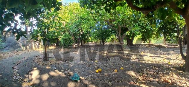 Terreno in vendita a Calatabiano, San Marco - Foto 9