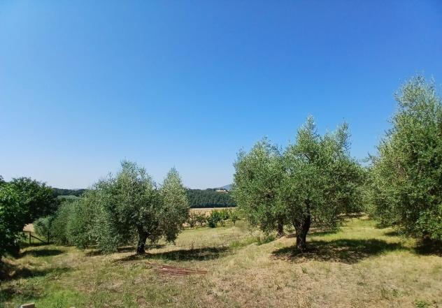 Rustico in vendita a Montecastrilli - Foto 2