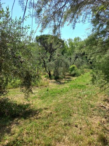 Terreno agricolo in vendita a Peccioli 21000 mq Rif: 1408228 - Foto 9