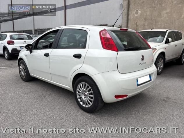 FIAT Punto 1.3 MJT 75 CV 5 porte Street - Neopatentati rif. 24194433 - Foto 2