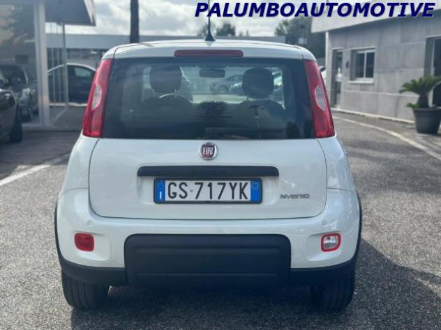 FIAT Panda 1.0 FireFly S&S Hybrid rif. 24039639 - Foto 6