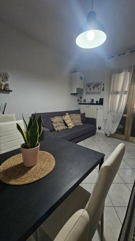 Appartamento in vendita a Putignano Pisano - Pisa 40 mq Rif: 1445280