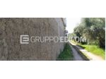 Terreno di 1500 mq  in vendita a Gioia Tauro - Rif. 4552600