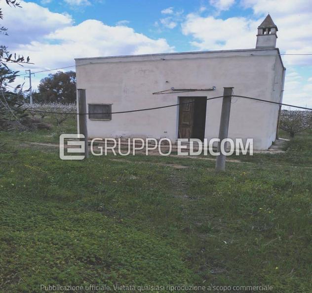 Terreno di 35921 mq in vendita a Montalbano Jonico - Rif. 4551657 - Foto 3