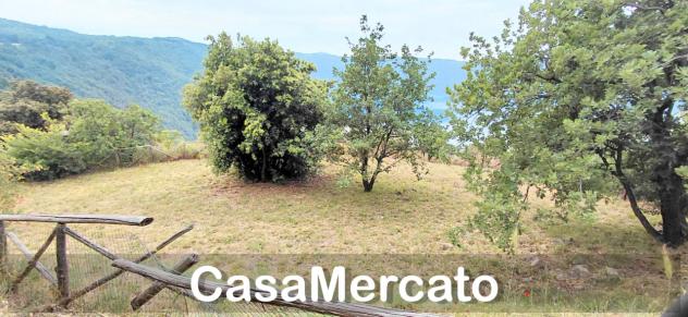 Agricolo in vendita a Rocca di Papa - Foto 3