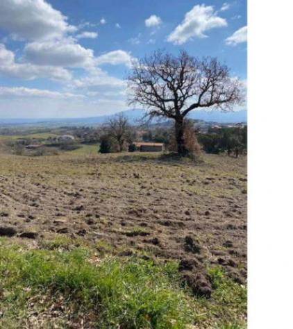 Immobile in asta di 58454 m² in vendita a Montefiascone - Foto 8
