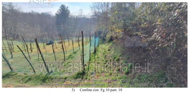 IMMOBILI-IMMOBILE RESIDENZIALE-Via Cerro, 35, 13862 Brusnengo BI, Italia - Foto 10