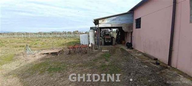 RUSTICO di 2 vani e di 130 mq (GROSSETO - POGGIALE) rif. 2537.28M - Foto 11