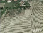 Vigneto in vendita a Montepulciano