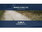 Immobile in asta di 9460 m² in vendita a Morro d'Oro