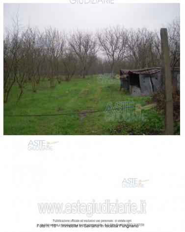 IMMOBILI-ALTRA CATEGORIA-Località Furignano