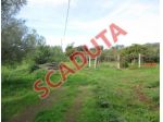 Immobile in asta di 190 m² con più di 5 locali in vendita a Viterbo