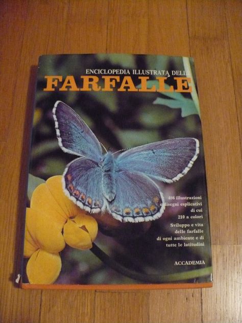 FARFALLE