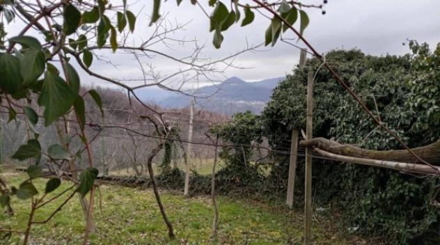 Immobile in asta di 2173 m² in vendita a Chiampo - Foto 2
