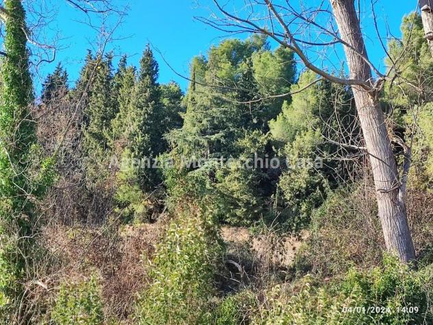 CASA COLONICA CON RICOVERO ATTREZZI, SILOS, TERRENO AGRICOLO E BOSCO - Foto 13