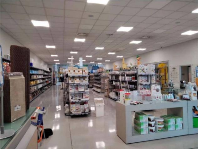 Immobile in asta di 1835 m² in vendita a Terni - Foto 2