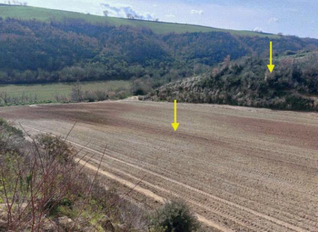 Immobile in asta di 4 m² in vendita a Altomonte - Foto 5