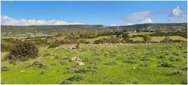 Immobile in asta di 23165 m² in vendita a Fordongianus - Foto 2