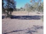 Immobile in asta di 3 m² in vendita a Ruvo di Puglia