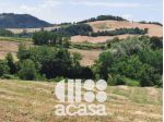 TERRENI AGRICOLI