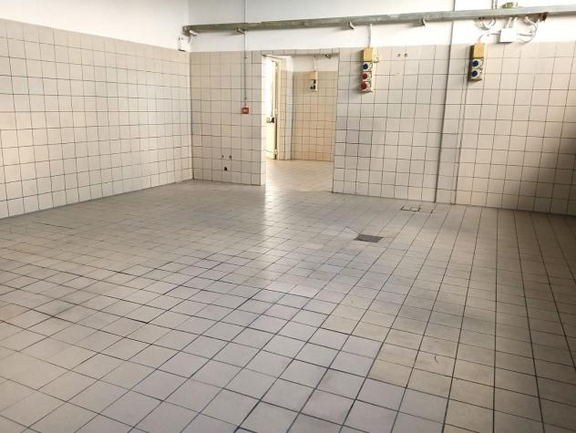 Laboratorio in affitto a Colignola - San Giuliano Terme 200 mq Rif: 1400322