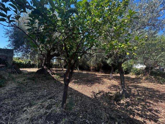 Villa singola in vendita a Priolo Gargallo - Foto 17
