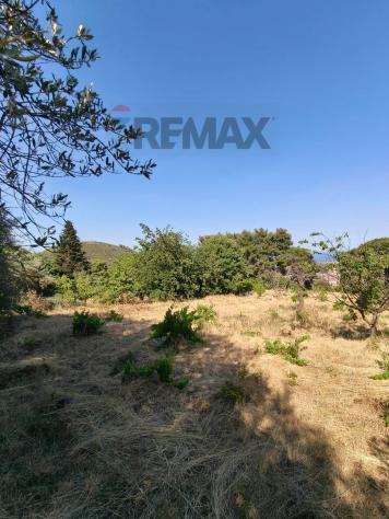 Terreno Edificabile in vendita a Trecastagni - Foto 11