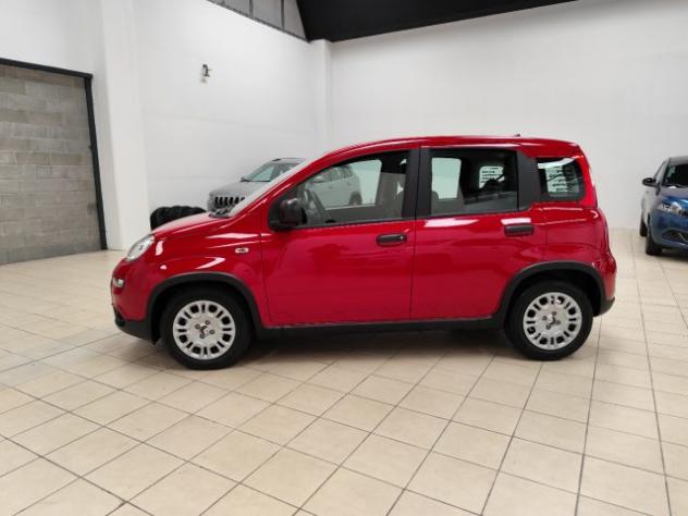 FIAT Panda 1.0 FireFly S&S Hybrid rif. 21725784 - Foto 9