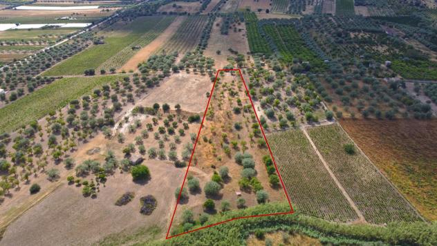 Terreno Agricolo - Noto . Rif.: Cod. rif 3321426VCG