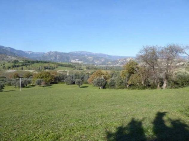 Immobile in asta di 6430 m² in vendita a Casignana - Foto 12