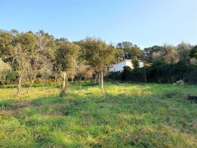 TERRENO CON RUDERE PORTICCIOLO ROMANO - FORMIA GIANOLA - rif. V3165 - Foto 4
