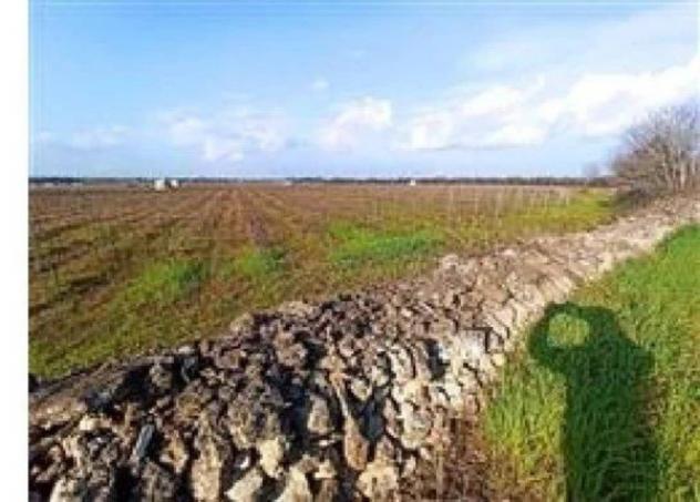 Immobile in asta di 155604 m² in vendita a Francavilla Fontana - Foto 6