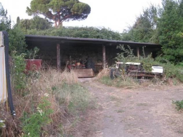 Immobile in asta di 151463 m² in vendita a Grottaferrata - Foto 5