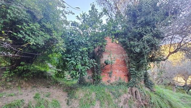Agricolo in vendita a La Spezia - Foto 12