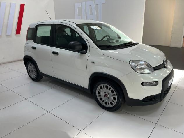 FIAT Panda 1.0 FireFly 70cv S&S Hybrid - Foto 4