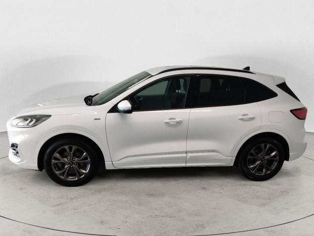 Ford Kuga Kuga 1.5 ecoblue ST-Line 2wd 120cv - Foto 8