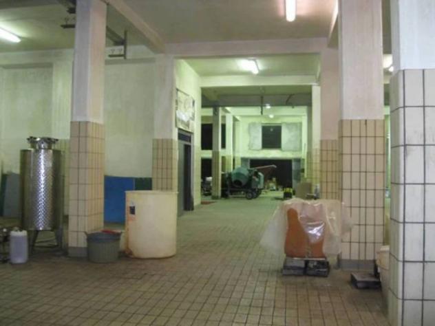 Immobile in asta di 1404 m² in vendita a Grottaferrata - Foto 8