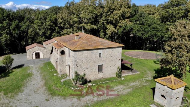 Azienda Agricola in vendita a Guardistallo - Foto 7
