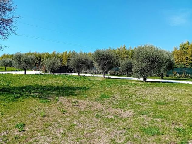 VILLA di 13 vani e di 210 mq (PIETRASANTA) rif. 1542 - Foto 8