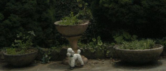 4 ciotole fioriere in cemento - Foto 3