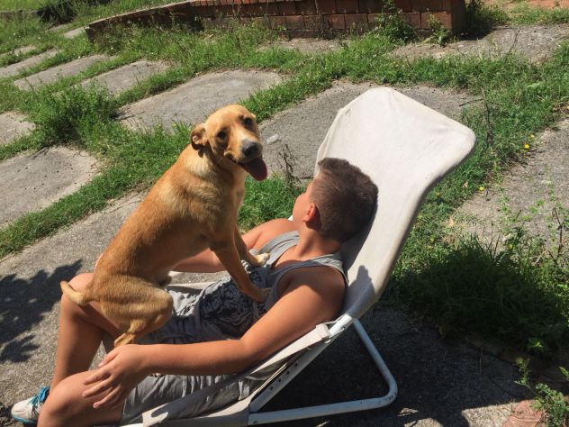 MINO, socievole cagnolino amico dei bambini - Foto 2