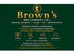 Consulente Informatico e Web Designer
