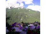 Cristallo S.n.c. di Ghetta Sergio e C.