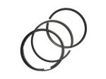 SERIE SEGMENTI LOMBARDINI 8211 143 FOCS   1,00 LIGIER GRECAV MICROCAR CHATENET