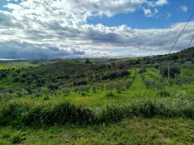 Terreno in vendita a Palazzolo Acreide
