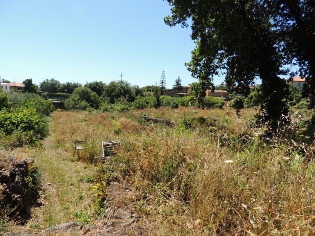 Agricolo in affitto a Tremestieri Etneo - Foto 4